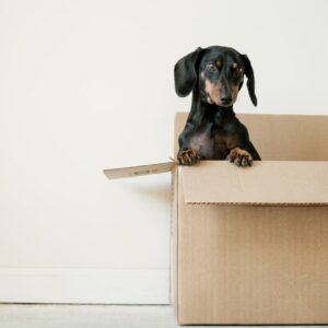 New Year Calls For Delivery Innovation for Australian Retailers